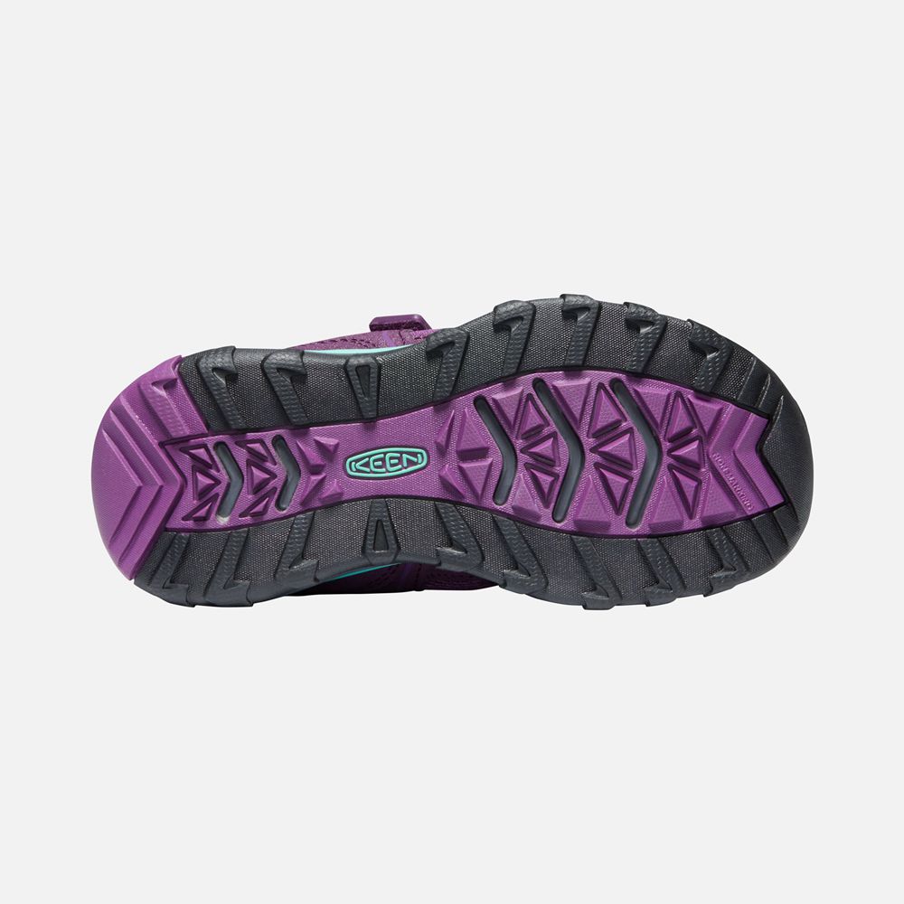 Baskets Keen Enfant Violette | Terradora Ii Sport Vent Shoes | BPLAJ-6502